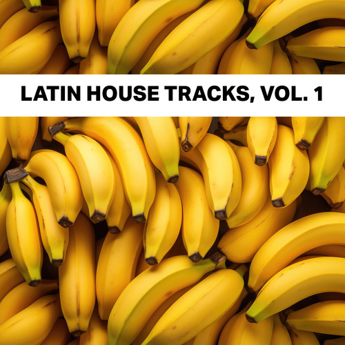 Latin House Tracks, Vol. 1 (Explicit)