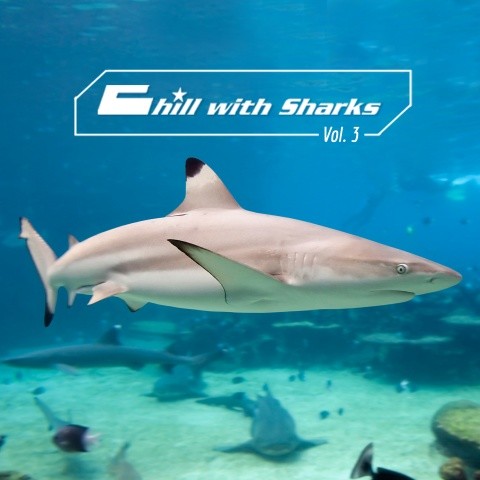 Chill with Sharks, Vol. 3