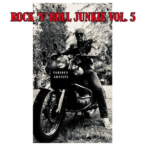 Rock 'n' Roll Junkie, Vol. 5