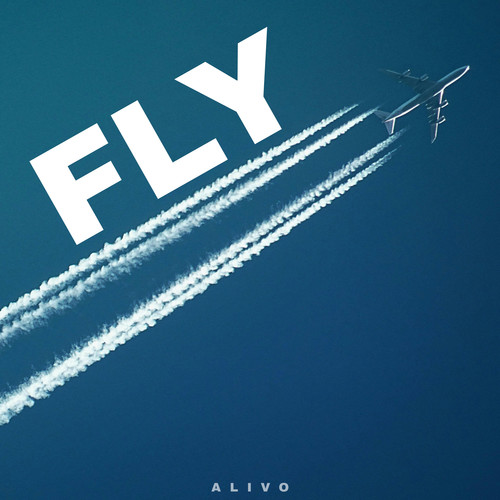 Fly