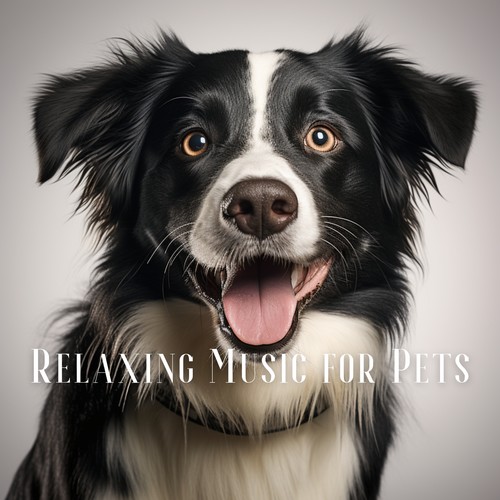 Relaxing Music for Pets: Soothing Tunes for When You're Not Home