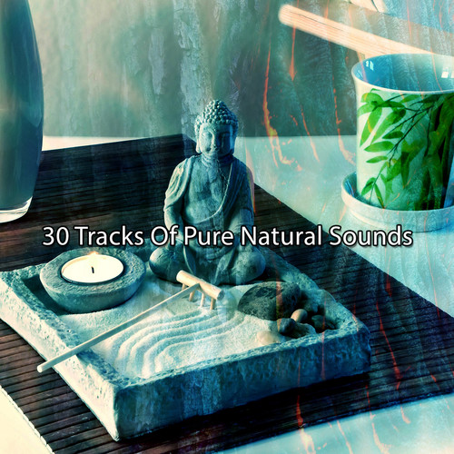 30 Tracks Of Pure Natural Sounds