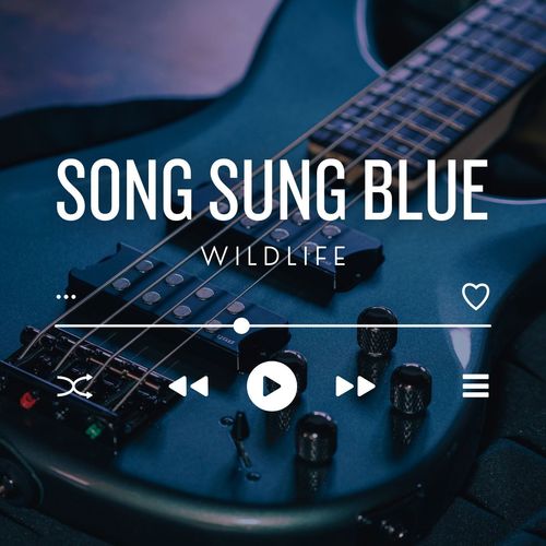 Song Sung Blue