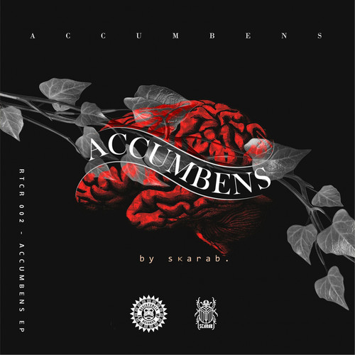 ACCUMBENS (RTC002)