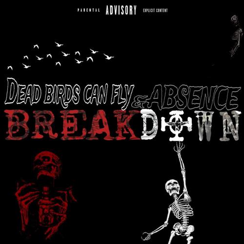 BREAKDØWN (feat. Dead Birds Can Fly)