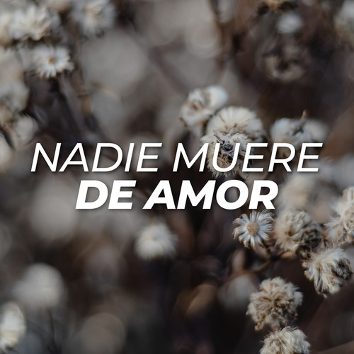 Nadie muere de amor