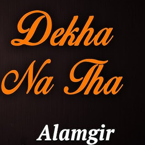 Dekha Na Tha