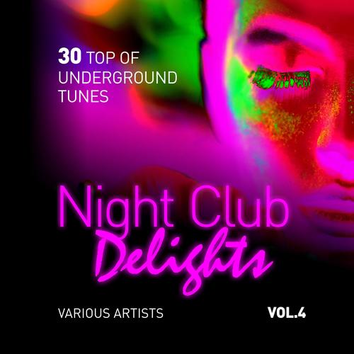 Night Club Delights (30 Top of Underground Tunes), Vol. 4