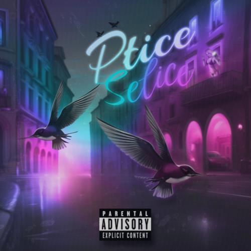 Ptice Selice (Remix) [Explicit]