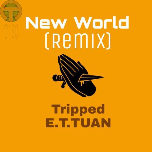 New World (Tripepd&E.T.TUAN Remix)