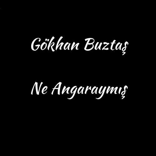 Ne Angaraymış
