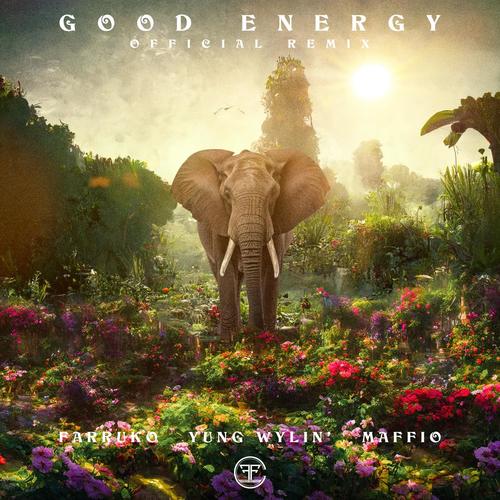 Good Energy (Remix) [Explicit]