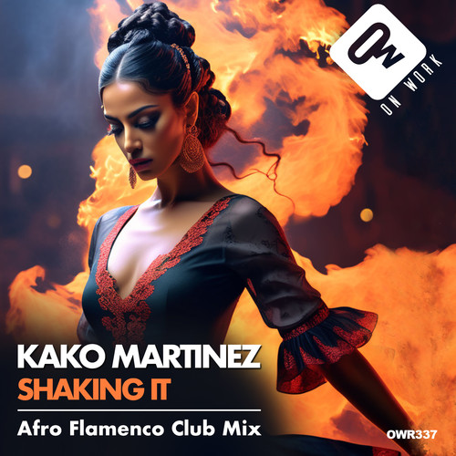 Shaking it (Afro Flamenco Club Mix)