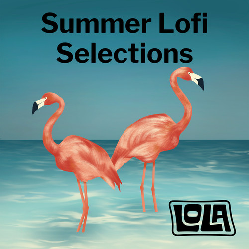 Summer Lofi Selections by Lola