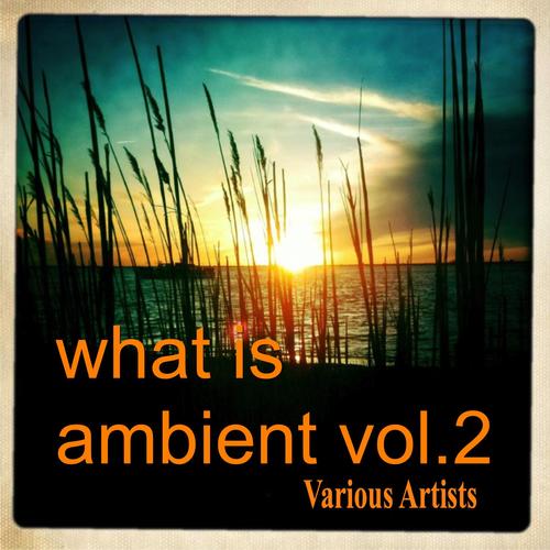 What Is Ambient Vol.2