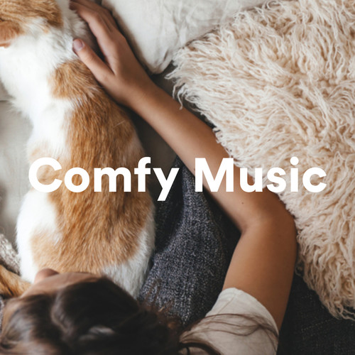 Comfy Music (Explicit)