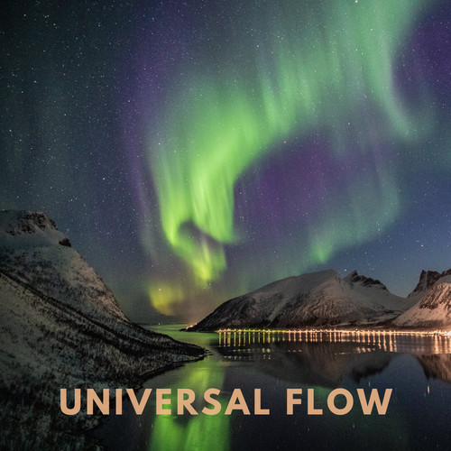 Universal Flow