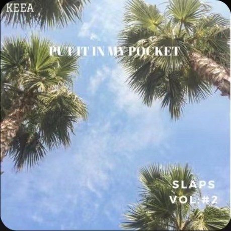 Put It in My Pocket:Slaps,Vol.2