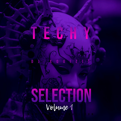 Techy Selection: Vol. 1