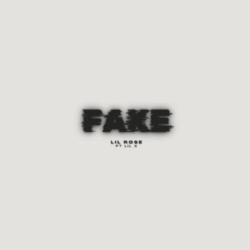 Fake (feat. Lil X) [Explicit]