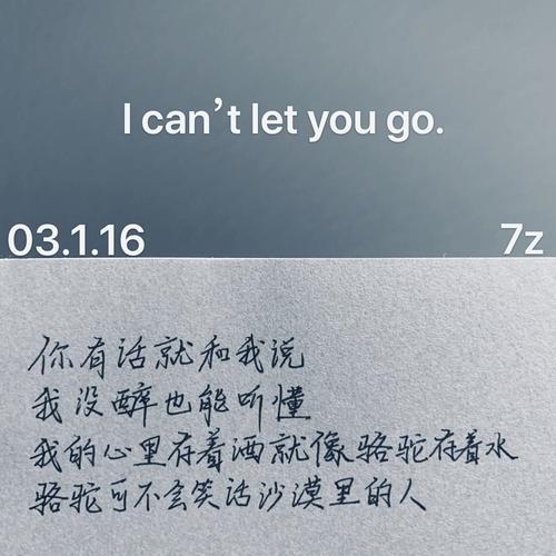 I can't let you go