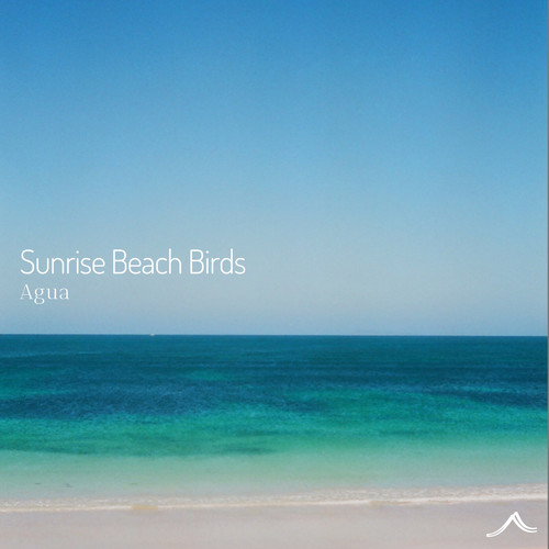 Sunrise Beach Birds