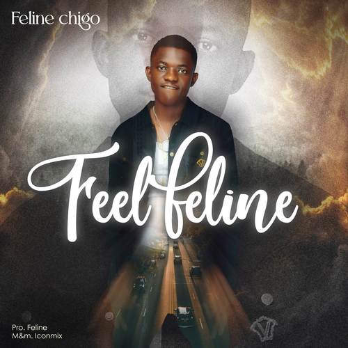 feel feline (Explicit)