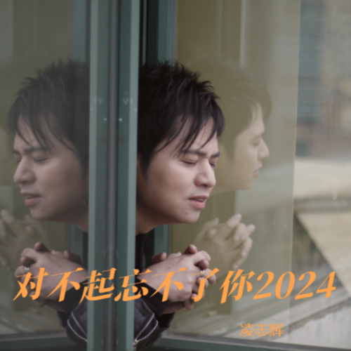 凌志辉 对不起忘不了你2024