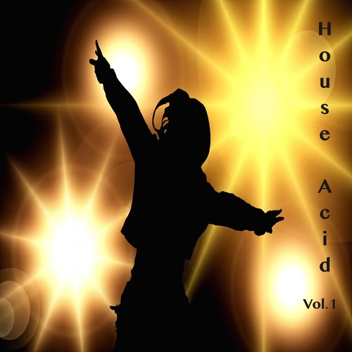 House Acid, Vol. 1