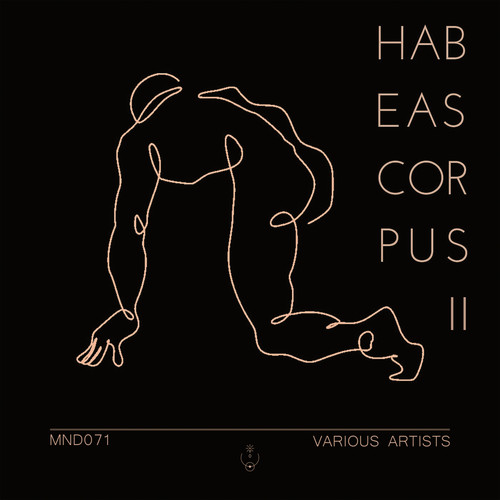 Habeas Corpus 2