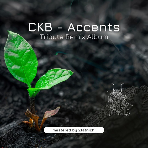 accents tribute remix album