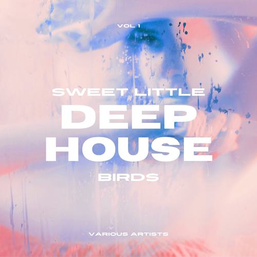 Sweet Little Deep-House Birds, Vol. 1 (Explicit)