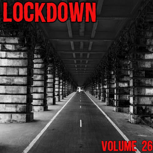 Lock Down Vol. 26