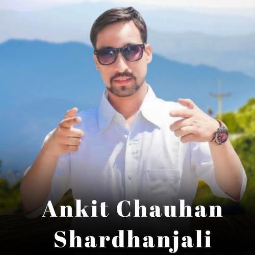 Ankit Chauhan Shardanjali