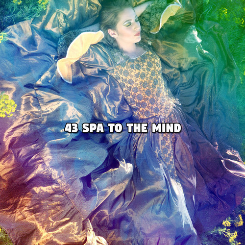 43 Spa To The Mind