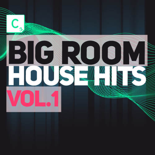 Big Room House Hits (Volume 1) [Explicit]