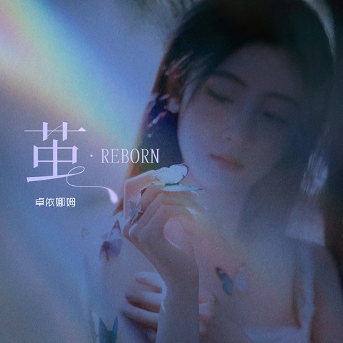 茧·Reborn