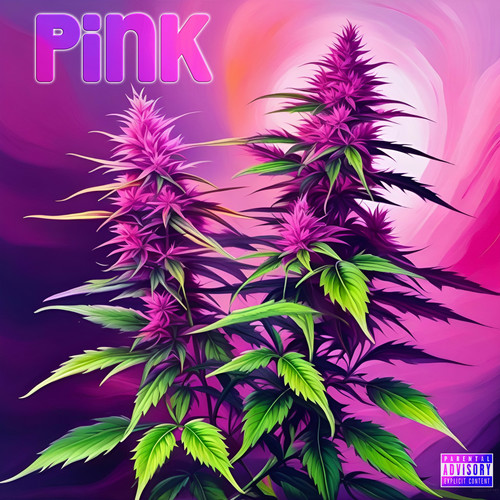 Pink (Explicit)