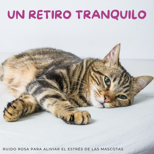 Un Retiro Tranquilo: Ruido Rosa Para Aliviar El Estrés De Las Mascotas