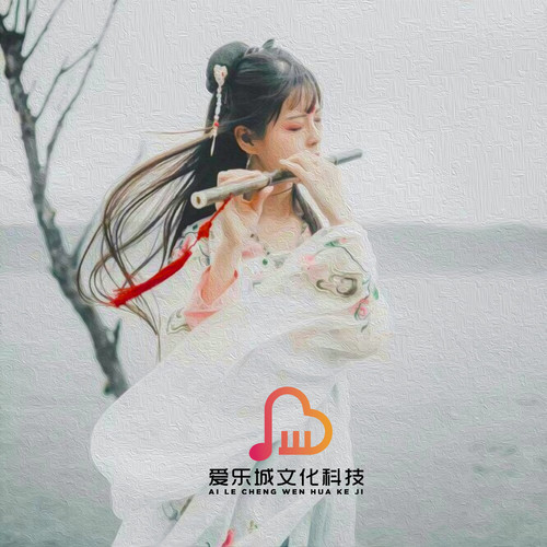 中国民歌 经典民歌集 竹笛独奏 笛子练习曲独奏曲