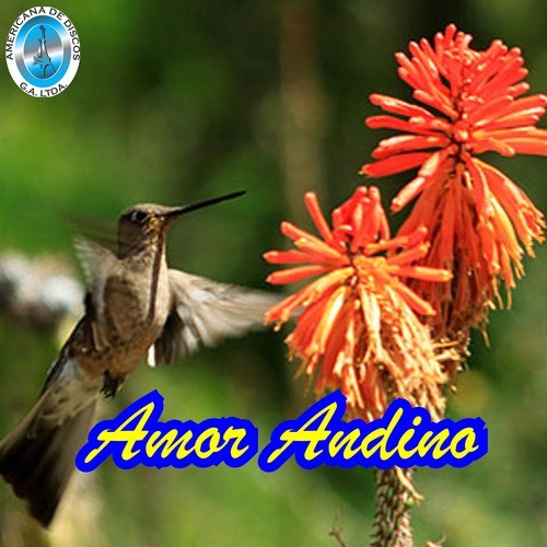 Amor Andino