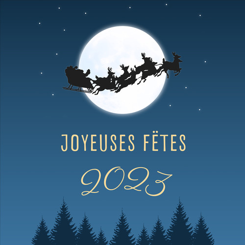 Joyeuses fêtes de Noël - 2023