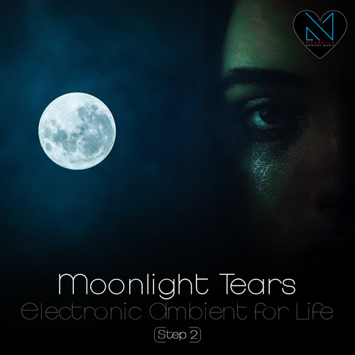 Moonlight Tears, Step 2 (Electronic Ambient for Life)