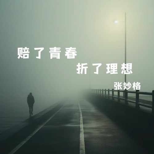 赔了青春折了理想