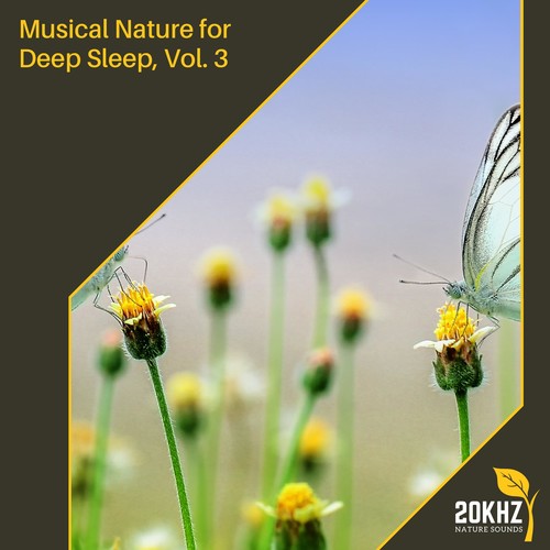 Musical Nature for Deep Sleep, Vol. 3