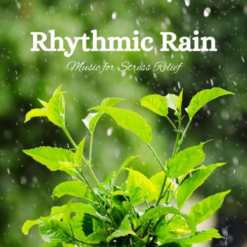 Rhythmic Rain: Music for Stress Relief