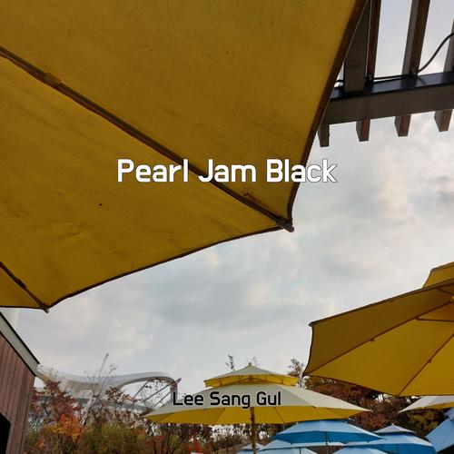 Pearl Jam Black