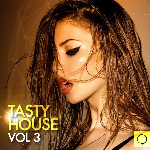 Tasty House, Vol.3