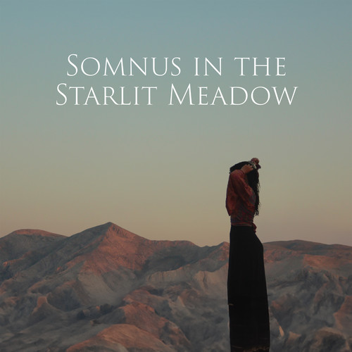 Somnus in the Starlit Meadow