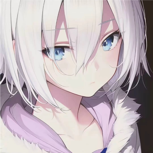 最好的安排(DJ版)